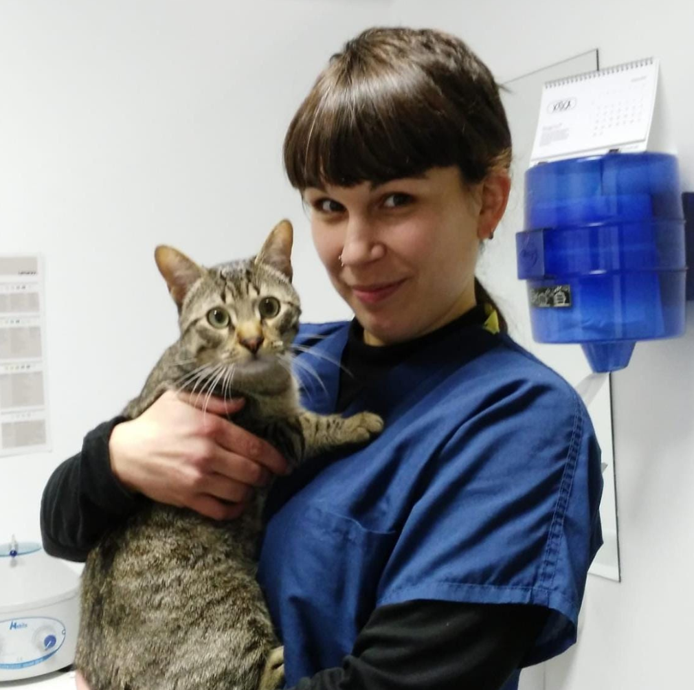 Equip Vet-Ter: Sandra - Especialista en salud y bienestar emocional de gatos y perros