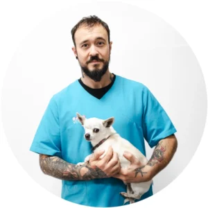 Equip Vet-Ter: Albert - salud y bienestar emocional de gatos y perros - Fisioterapia Canina